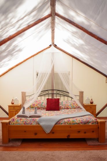 Upgraded Tent Decor and Designs